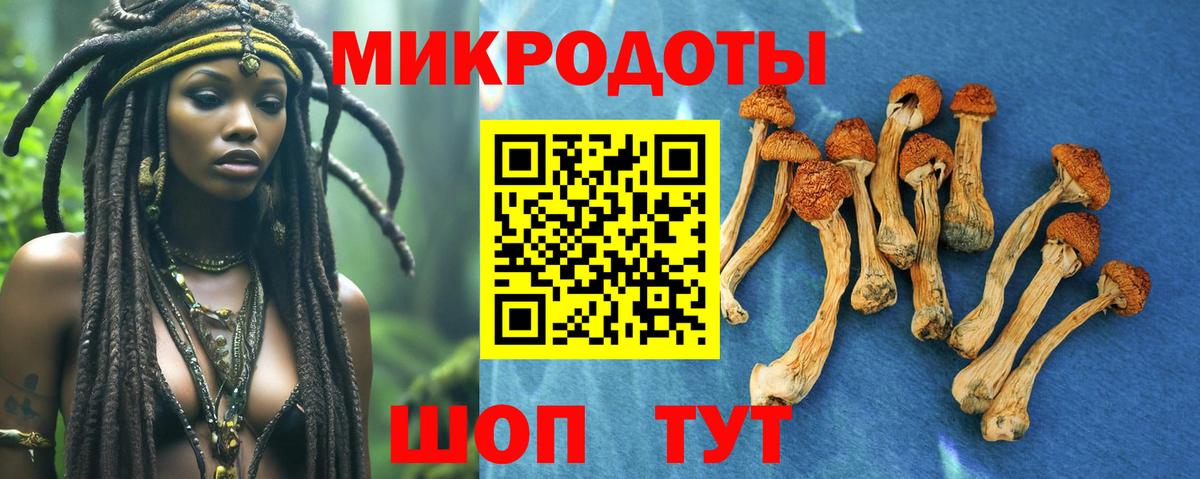 Псилоцибиновые грибы ЛСД Каменск-Шахтинский