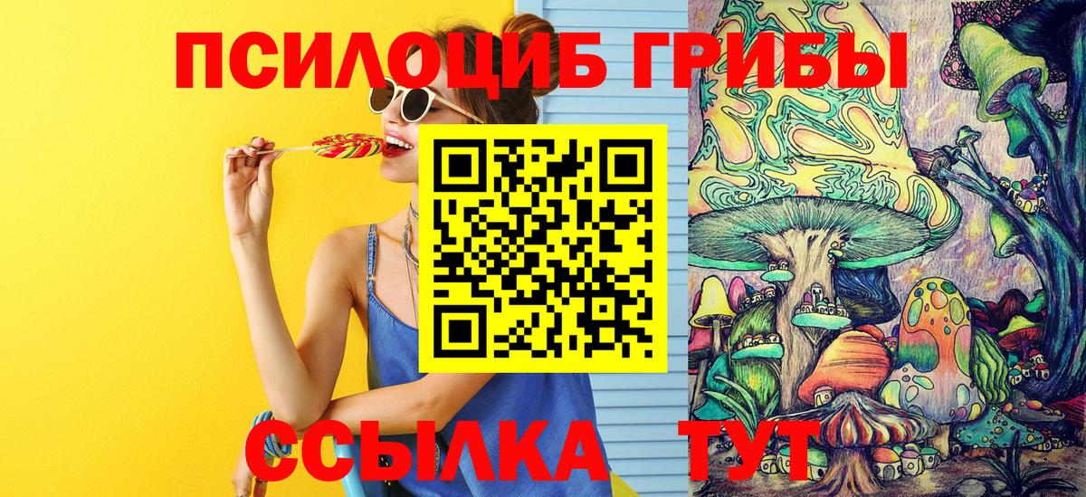 Псилоцибиновые грибы мицелий  Псилоцибиновые грибы Psilocybine cubensis  Каменск-Шахтинский  Вход с VPN 